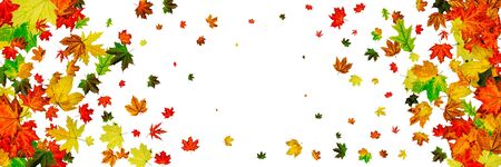 Autumn leaf pattern. Season falling leaves background. Thanksgiving conceptの写真素材