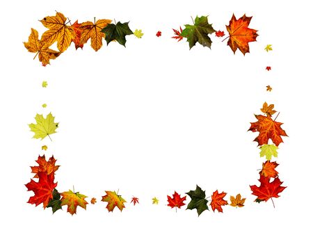Autumn leaf pattern. Season falling leaves background. Thanksgiving conceptの写真素材