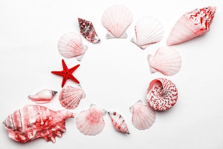 Shells, Living Coral pastel color starfish on white background with blank space for text. Top view travel or vacation concept. Summer background. Flat layの写真素材