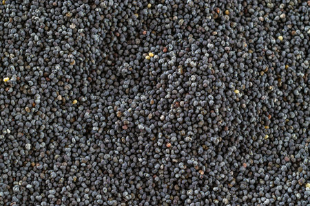 Poppy pattern seeds. Black poppyseed texture in top view. Pile food dark background. Vitamin snack...