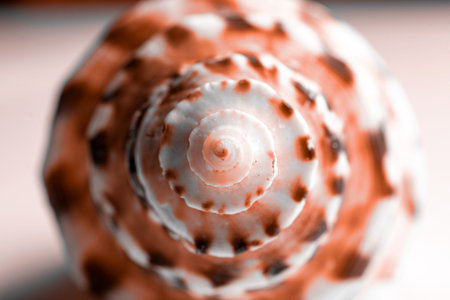 Tropical background. Trendy Living Coral pastel color Sea shell. Summer background. Dreamy gentle...