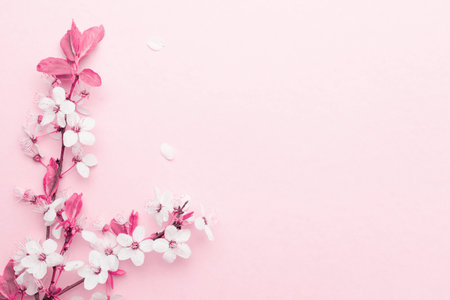 Sakura background with flower blossom and April floral nature on pink. Beautiful scene with blooming...