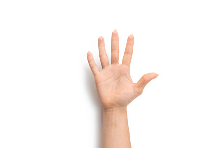 Hand isolated holding. Female arm gesture. Woman hand isolated on white background with clipping...