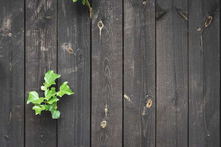 Wood table texture. Timber plank surface wall for vintage grunge wallpaper. Dark grain panel board table with copy space. Old floor wooden pattern. Natural material backdrop.の写真素材