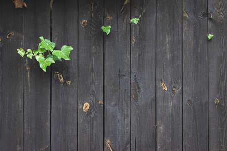 Wood table texture. Timber plank surface wall for vintage grunge wallpaper. Dark grain panel board table with copy space. Old floor wooden pattern. Natural material backdropの写真素材