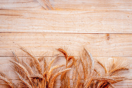 Oat spikelet. Wheat grain ear or rye spike plant isolated on brown wood plank background, for cereal...