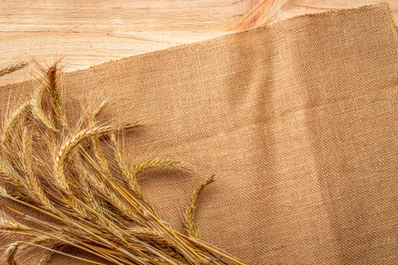 Grains isolated. Whole, barley, harvest wheat sprouts. Wheat grain ear or rye spike plant on linen...
