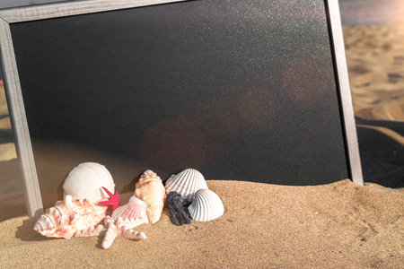 Summer sale. Globe, seashell, airplane and starfish near black desk on sea beach in sunny day. Copy...