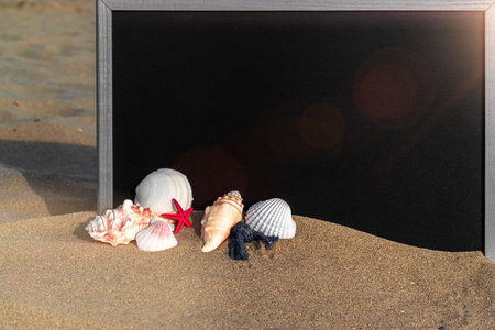 Summer background beach. Starfish, seashells, toy plane and globe near blackboard on ocean nature...