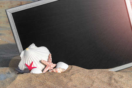 Beach background. Starfish, seashells, toy plane and globe near blackboard on ocean nature beach. Design of summer vacation holiday conceptの写真素材