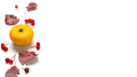 Autumn leaf texture. Natural food, harvest with orange pumpkin, fall dried leaves, rowan berries isolated on white background. Concept of Thanksgiving day or Halloweenの写真素材