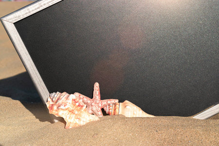 Sea background. Starfish, seashells, toy plane and globe near blackboard on ocean nature beach....