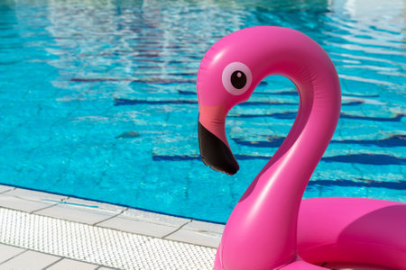Summer fun beach. Pink inflatable flamingo in pool water for summer beach background. Funny bird toy for kidsの写真素材