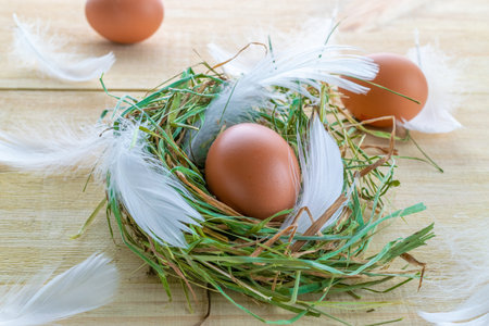 Easter egg. Happy Easter decoration: natural color eggs in basket with spring tulips, white feathers on wooden table background. Traditional decoration in sun lightの写真素材