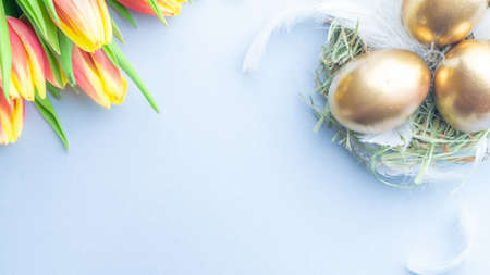 Easter egg. Happy Easter decoration: Golden eggs in basket with spring tulips, white feathers on pastel blue background. Traditional decoration in sun light. Top viewの写真素材
