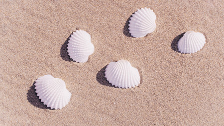 Summer background beach with seashells, starfishes on sand ocean background. Copy space. Road frame...