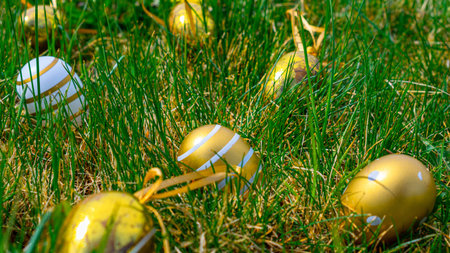 Easter rabbit. Golden egg with yellow spring flowers in celebration basket on green grass...
