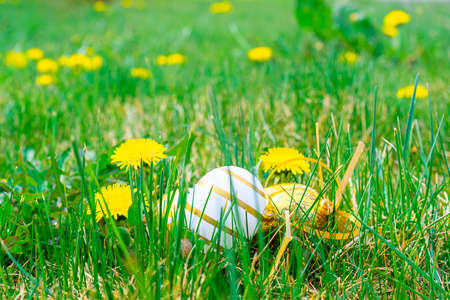 Easter eggs. Golden egg with yellow spring flowers in celebration basket on green grass background. Easter hunt conceptの写真素材