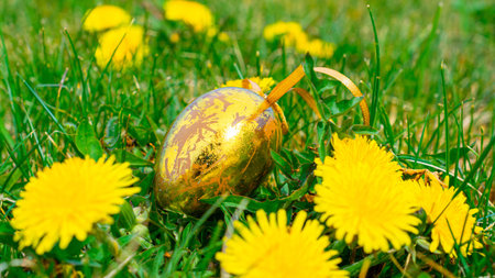 Easter egg background. Golden egg with yellow spring flowers in celebration basket on green grass....