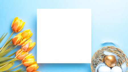 Easter Golden color eggs in basket with spring tulips, white feathers on pastel blue background in...