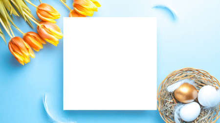 Easter flat. Golden, white color egg in basket with spring tulips, feathers on pastel blue background in Happy Easter decoration. Spring holiday top view conceptの写真素材