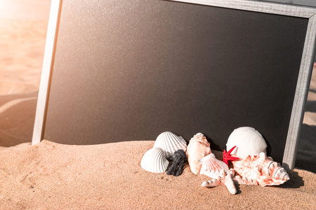 Summer sale. Globe, seashell, airplane and starfish near black desk on sea beach in sunny day. Copy...
