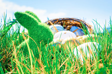 Easter bunny. Golden egg with yellow spring flowers in celebration basket on green grass background....