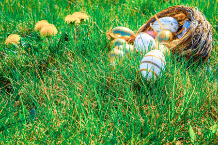 Easter bunny. Golden egg with yellow spring flowers in celebration basket on green grass background....