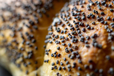 Whole wheat bread. Fresh loaf of rustic traditional bread with wheat poppy seeds in pattern of macro photography. Rye bakery with crusty loaves and crumbs. Homemade bakingの写真素材