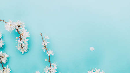 Spring background blue with flower blossom and April floral nature in beautiful scene with blooming tree. Easter Sunny day. Orchard abstract blurred background. Springtimeの写真素材