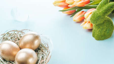 Easter eggs gold. Golden color egg in basket with spring tulips, white feathers on pastel blue background in Happy Easter decoration. Congratulatory easter designの写真素材