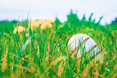 Easter background. Golden egg with yellow spring flowers in celebration basket on green grass. Easter hunt conceptの写真素材