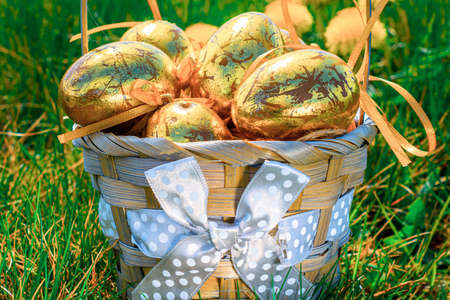 Easter basket bunny. Golden egg with yellow spring flowers in celebration basket on green grass background. Festive decoration. Happy easterの写真素材
