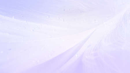 Feather concept. Multicolored pastel angel feather closeup texture on white background in macro photography, soft focus. Elegant expressive artistic image fragility of nature. Copy spaceの写真素材