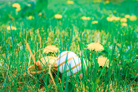 Easter basket with eggs. Golden egg with yellow spring flowers in celebration basket on green grass...