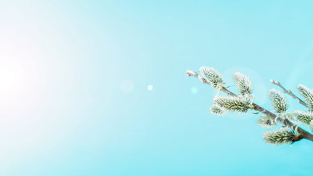 Sakura flower, spring blossom and April floral nature on blue background. Banner for 8 march, Happy...