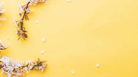 Spring background table. May flowers and April floral nature on pink. For banner, branches of blossoming cherry against background. Dreamy romantic image, landscape panorama, copy spaceの写真素材