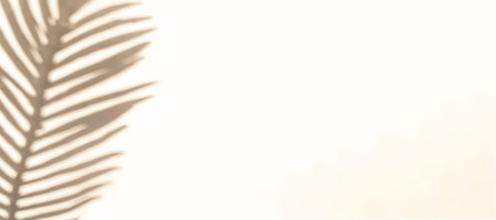 Wall shadow summer background. Plant leaf shadows on white wall in abstract tropical sunlight...