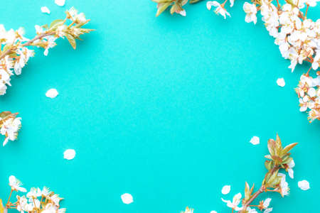 May flowers. Spring blossom and April floral nature on blue background. Beautiful scene with blooming tree. Easter Sunny day. Orchard abstract blurred background. Springtimeの写真素材