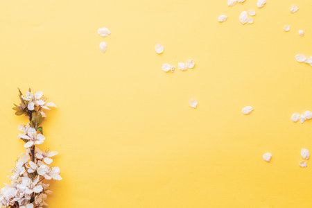 Spring background pink with flower blossom and April floral nature in beautiful scene with blooming tree. Easter Sunny day. Orchard abstract blurred background. Springtimeの写真素材