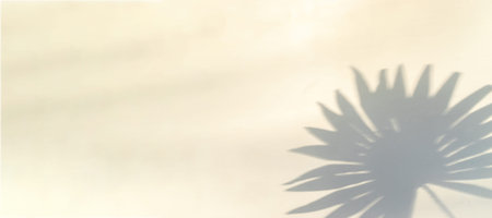 Leaf shadow summer background. Plant leaf shadows on white wall in abstract tropical sunlight...