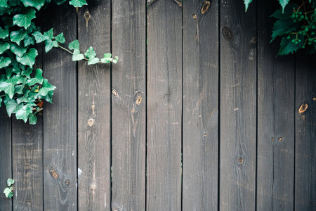 Real natural wood texture. Timber plank surface wall for vintage grunge wallpaper. Old floor wooden pattern with green leaves. Dark grain panel board table with copy space. Abstract natural deskの写真素材
