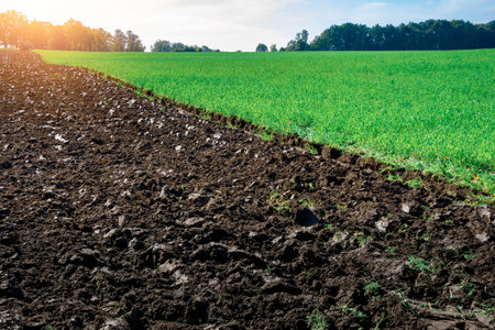 Tractor background. Agriculture farm machinery on landscape land field. Farmer machine equipment for...