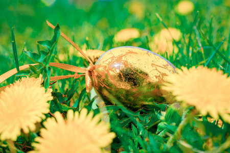 Easter basket bunny. Golden egg with yellow spring flowers in celebration basket on green grass...