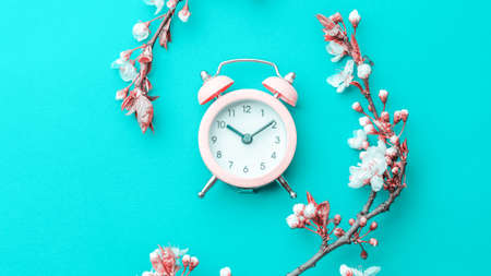 spring blossom. May flowers and April floral nature with alarm clock on blue background. Branches of blossoming apricot macro with soft focus. For easter greeting cards with copy space. spring timeの写真素材