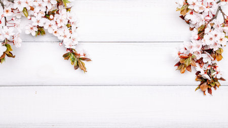 Spring background flower blossom and April floral nature with blooming tree on wooden. Easter Sunny...