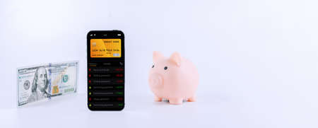 mobile banking network. Smartphone with internet online bank application. Pig bank with usd money cash on white background. Save money business conceptの写真素材