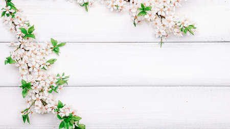 April floral nature. Spring blossom of may flowers on wooden. Branches of blossoming cherry against background. copy spaceの写真素材