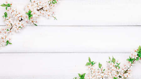Cherry tree blossom. April floral nature and spring sakura blossom on wooden background. Banner for 8 march, Happy Easter with place for text. springtime concept. top view. flat layの写真素材