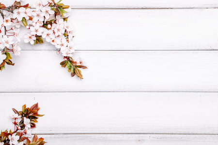 Sakura background flower blossom and April floral nature on wooden. blooming tree. Easter Sunny day....